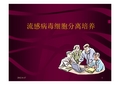 流感病毒细胞分离培养