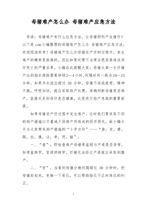 母猪难产怎么办 母猪难产应急方法