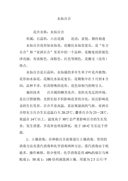水仙百合