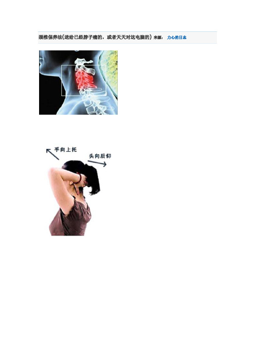 颈椎保养法(送给已经脖子痛的,或者天天对这电脑的)