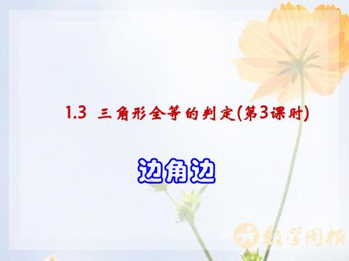 3.1_三角形全等的判定(第2课时_边角边)