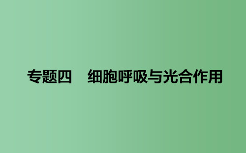 高考生物二轮复习专题四细胞呼吸与光合作用课件