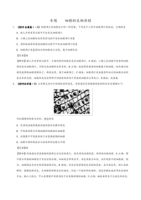 2019年高考真题和模拟题分项汇编地生物+Word版含解析专题：细胞的生命历程 