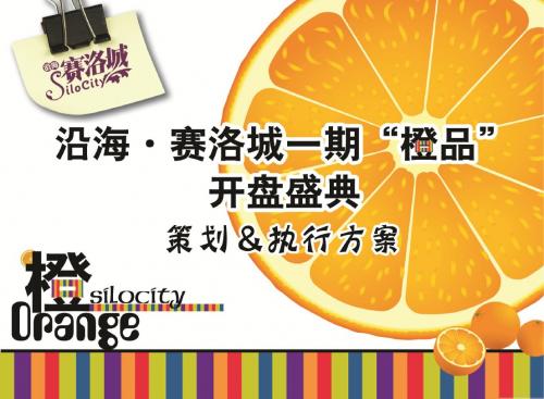 沿海·赛洛城一期“橙品”开盘盛典策划执行策划方案