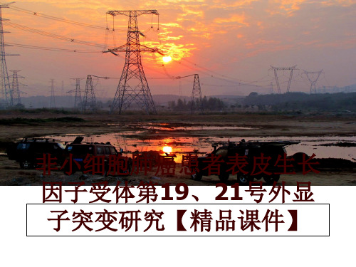 最新非小细胞肺癌患者表皮生长因子受体第19、21号外显子突变研究【精品课件】幻灯片课件