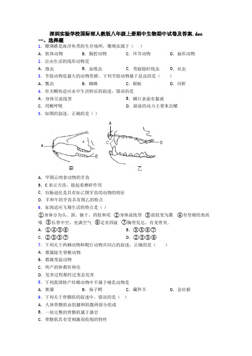 深圳实验学校国际部人教版八年级上册期中生物期中试卷及答案.doc