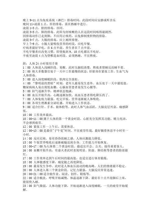 1天24小时人的身体机能转变