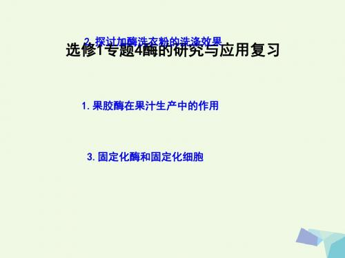 高中生物 专题4 酶的研究与应用复习 新人教版选修1