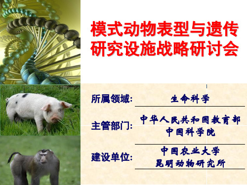 SPF级猪繁育生产模块-中国农业大学