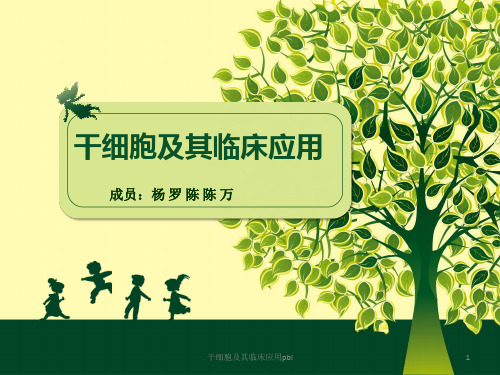 干细胞及其临床应用pbl课件