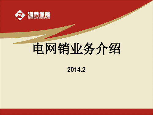 保险电网销业务介绍分解