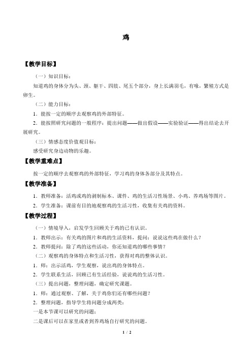 鄂教版三年级科学上册教案鸡