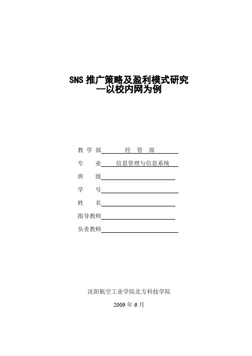 SNS推广策略及盈利模式研究 毕业设计论文——4