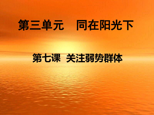 九年级政治_37《关注弱势群体》课件1_教科版
