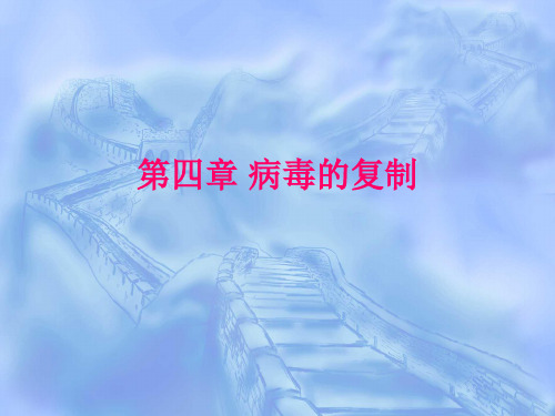 (完整版)病毒的复制