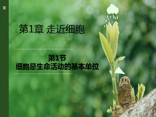1.1 细胞是生命活动的基本单位 课件 【新教材】人教版(2019)高中生物必修一(共47张PPT)