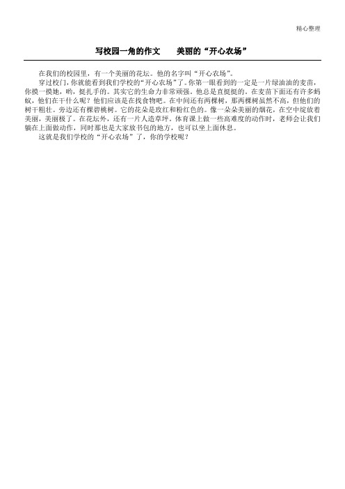 写校园一角的作文    美丽的“开心农场”