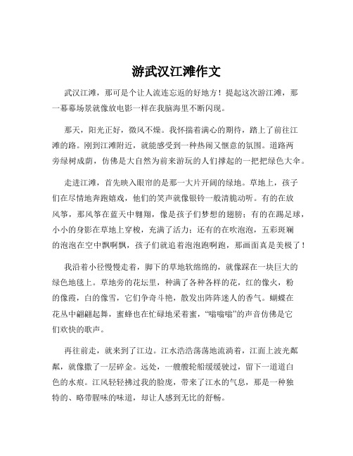 游武汉江滩作文