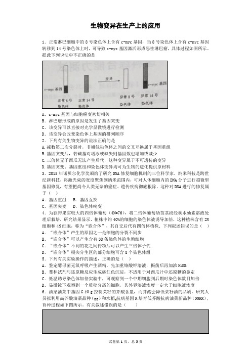 浙科版必修二  生物变异在生产上的应用  作业