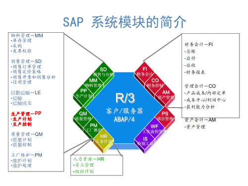 SAP基本介绍