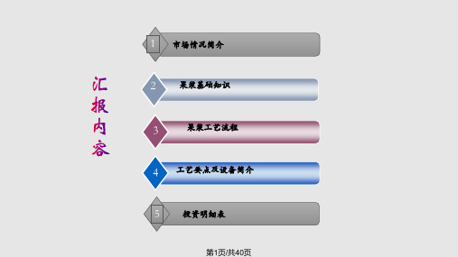果浆工艺流程PPT课件