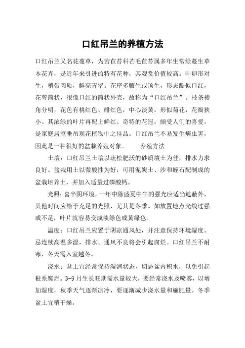 口红吊兰的养植方法