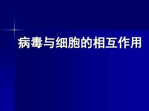 病毒与细胞的相互作用