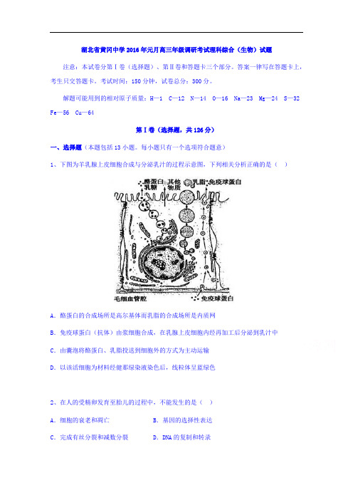 湖北省黄冈中学2016届高三元月调研考试生物试题