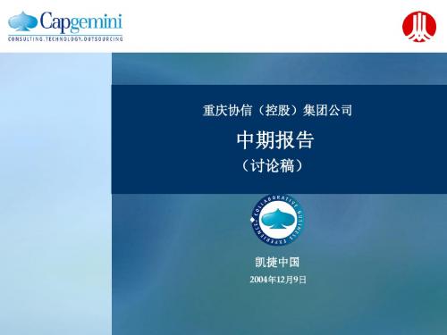 重庆协信(控股)集团公司薪酬设计