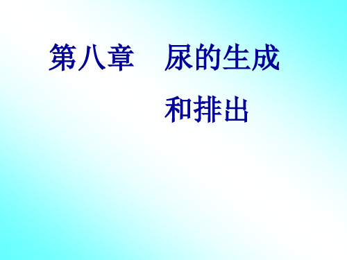 第八章 尿的生成和排出(生理学)汇总