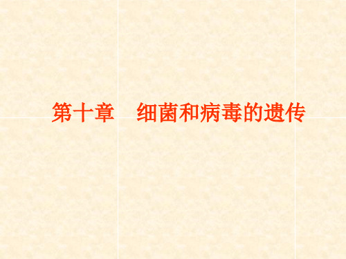 遗传学第10章细菌和病毒的遗传PPT