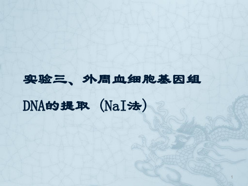 细胞外周血DNA提取ppt课件