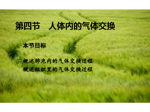 苏教版初中生物七年级下册课件-4.10.4 人体内的气体交换6