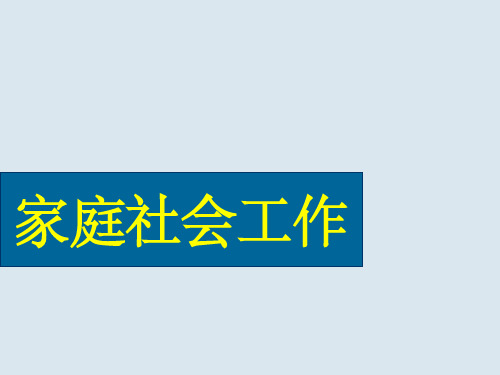 家庭生命周期理论27170ppt课件