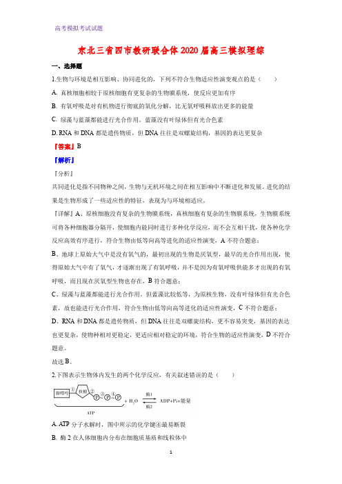 2020届东北三省四市教研联合体高三模拟理综生物试题(解析版)