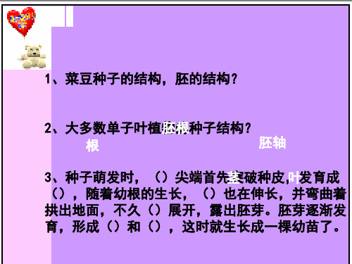 种子萌发的条件PPT课件2