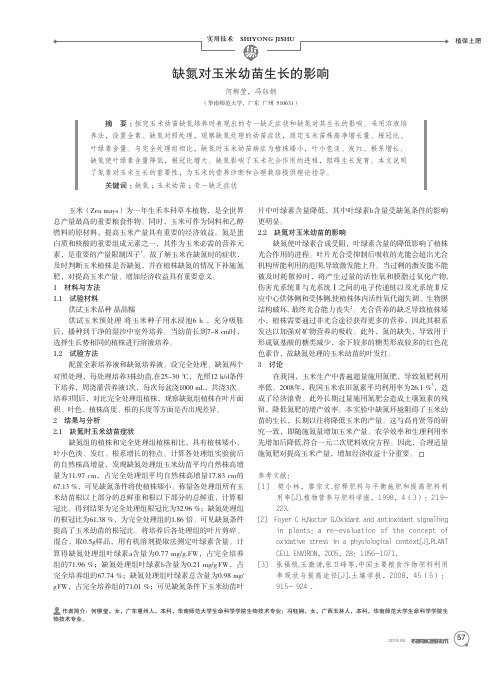 缺氮对玉米幼苗生长的影响