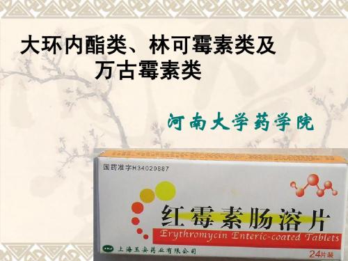 040 大环内酯类、林可霉素类及万古霉素类