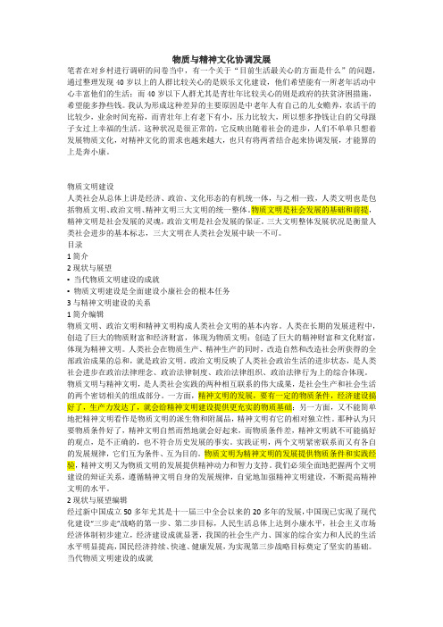 辩论赛物质与精神文化