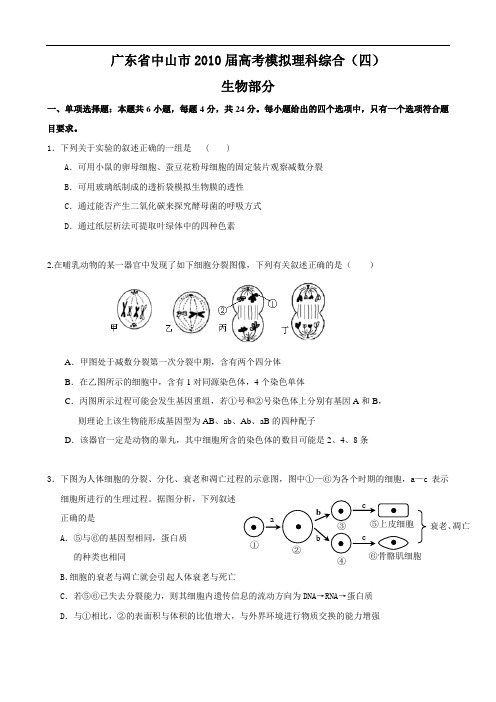 广东省中山市2010届高三高考模拟理科综合(四)(生物)