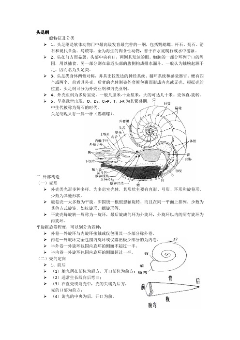 古生物复习资料2(头足纲)