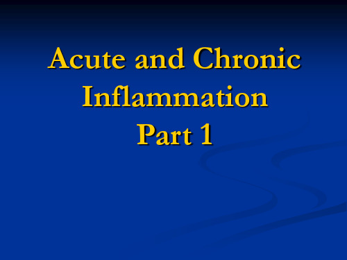 病理学见习课课件：Inflammation+1