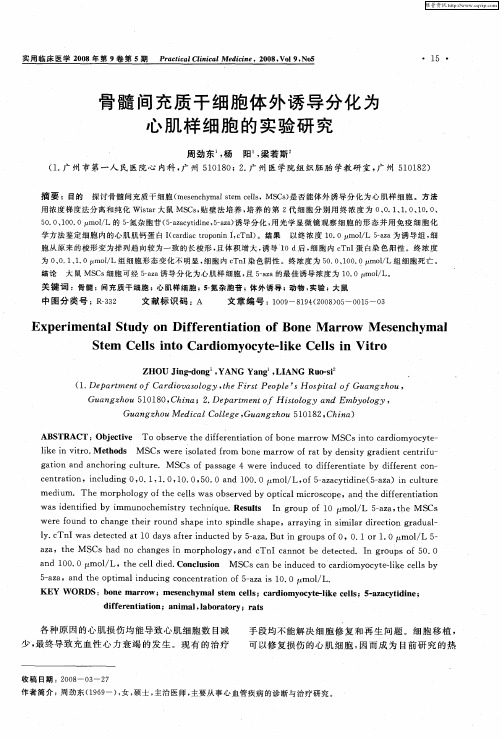 骨髓间充质干细胞体外诱导分化为心肌样细胞的实验研究
