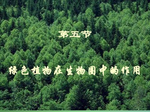 济南版七年级上册第五节《绿色植物在生物圈中的作用》1