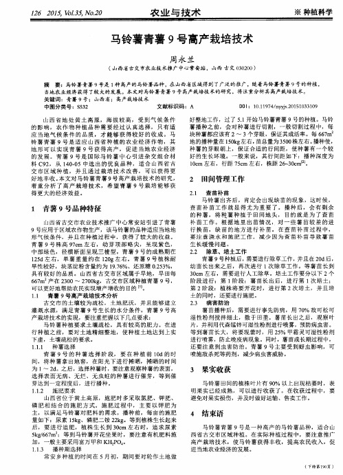 马铃薯青薯9号高产栽培技术