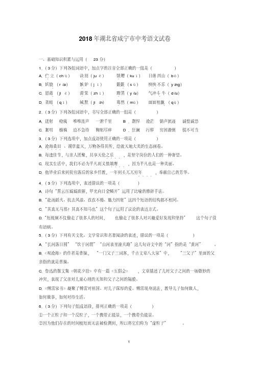 2018年湖北省咸宁市中考语文试卷