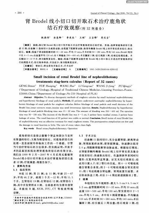 肾Brodel线小切口切开取石术治疗鹿角状结石疗效观察(附32例报告)