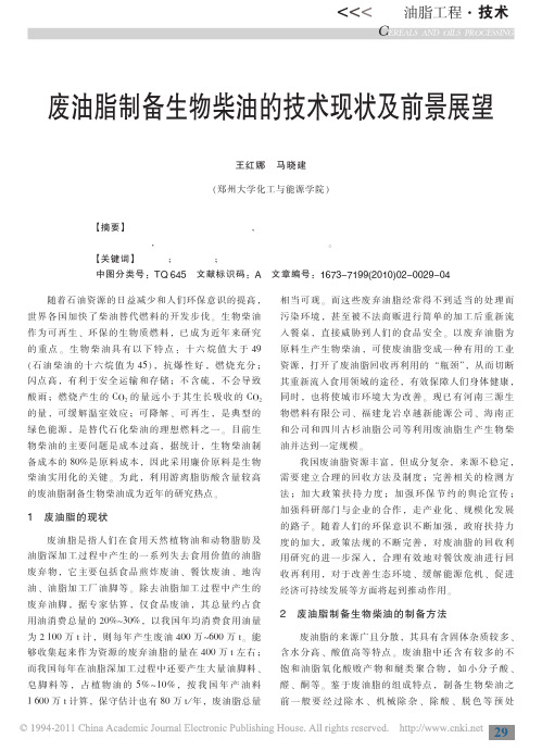 废油脂制备生物柴油的技术现状及前景展望
