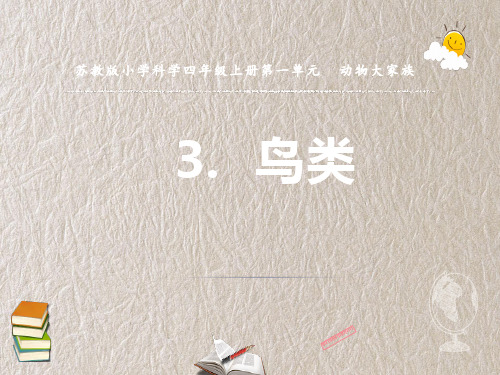 苏教版科学四上  鸟类