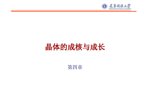 第四章-成核与成长